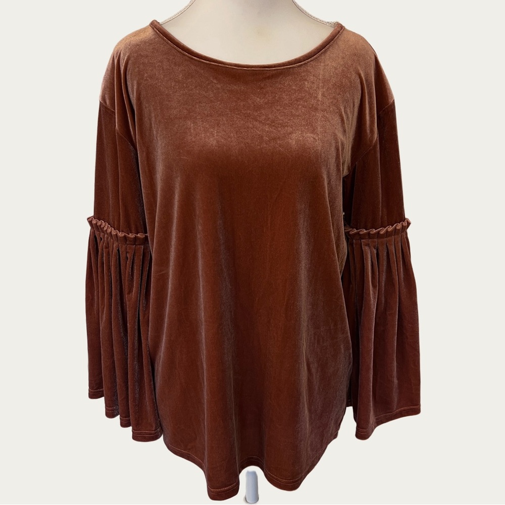See And Be Seen Rust Velvet Bell Sleeve Top Bow Size Small‎ Boho
